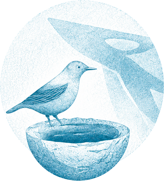 Ilustración en trama azul: un pájaro posado sobre un nido con forma de cuenco, bajo una sombra amplia.